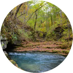 Greer Spring - Spring in Missouri