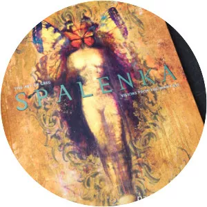 Greg Spalenka photograph