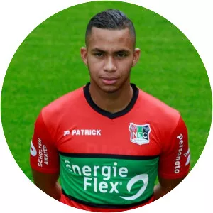 Gregor Breinburg - Soccer player