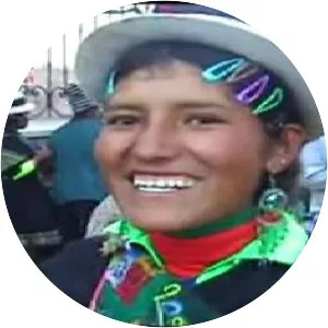 Gregorio Mamani - Musical artist