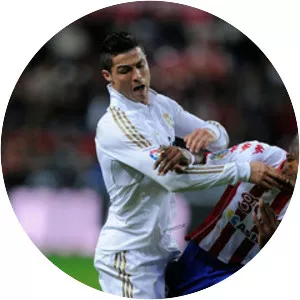 Grégory Arnolin - Former football player