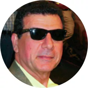 Gregory M. Matoesian - Author