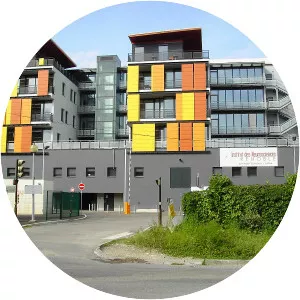 Grenoble-Institut des Neurosciences