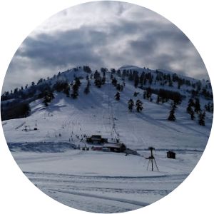 Grevena Municipality