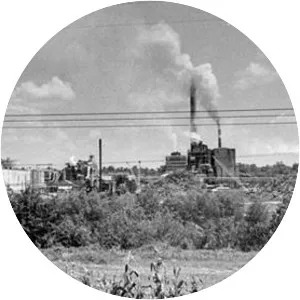 Griggs v. Duke Power Co.