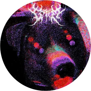 Grim Salvo photograph