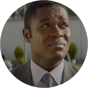 Gringo: Review - TV program