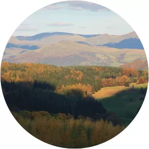 Grizedale Forest - 