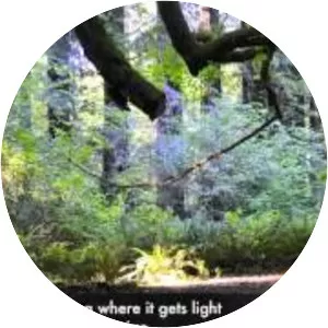 Grizzly Creek Redwoods State Park - 