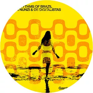 groovy waters united rhythms of brazil