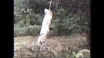 Gros Mo - Musical artist