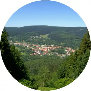 Großer Beerberg - Mountain in Germany