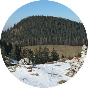 Großer Riesenkopf - Mountain in Germany