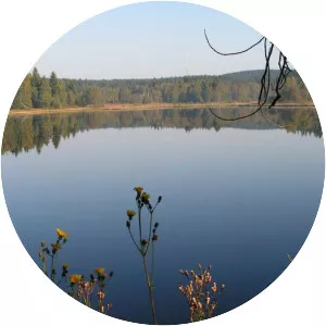 Großer Schwarzer Teich