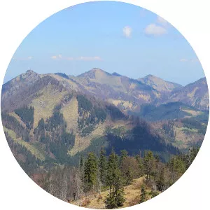 Grosser Alpkogel (Almkogel)