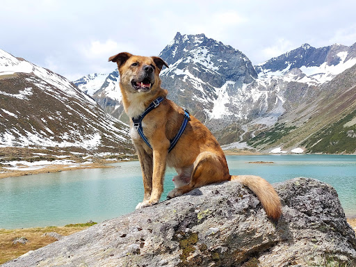 Grubenkopfbahn Talstation