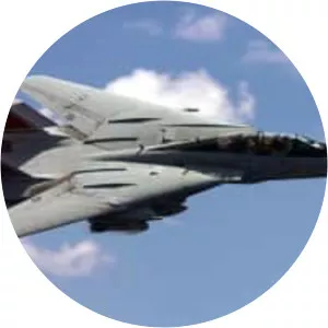 Grumman F-14 Tomcat - Fighter aircraft