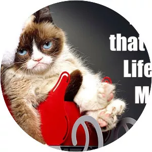 Grumpy Cat's Worst Christmas Ever