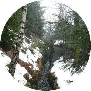 Grüner Graben (Pobershau) (Grüner Graben)