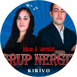 Grup Nergiz
