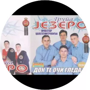 Grupa Jezero - Musical artist