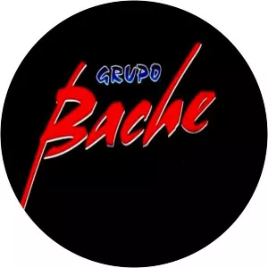 Grupo Bache