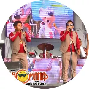 Grupo Melomania - Musical group