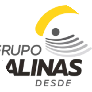 Grupo Salinas