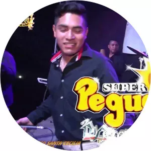 Grupo Super Pegues - Musical artist