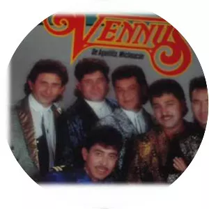 Grupo Vennus