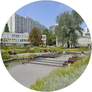 Grzybowski Square - 