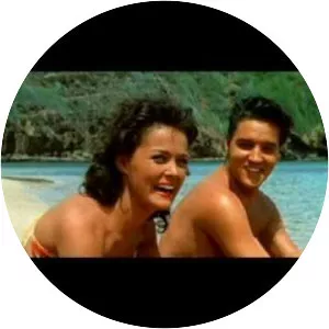 Gu-gu - Musical band