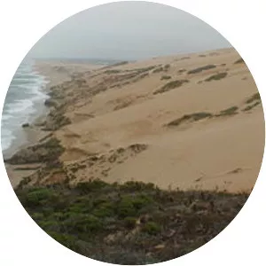 Guadalupe-Nipomo Dunes