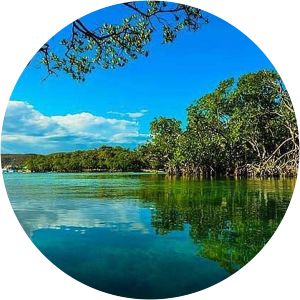 Guánica State Forest