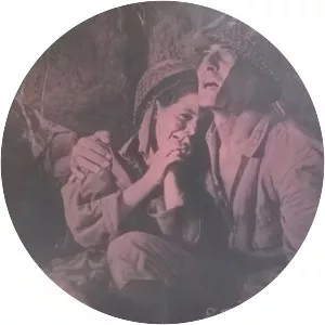 Guerillas in Pink Lace