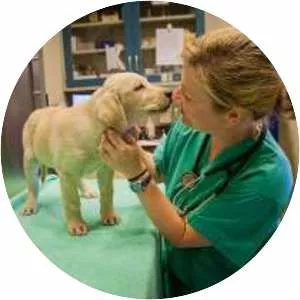 Guide Dogs for the Blind