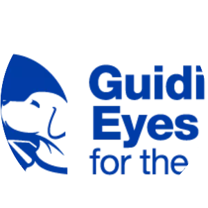 Guiding Eyes for the Blind