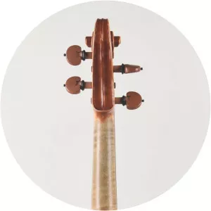 Guido Alberini - Politician