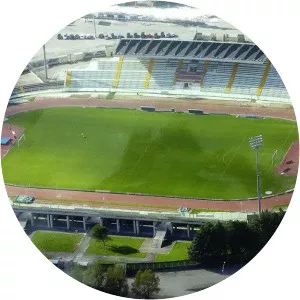 Guido Angelini Stadium