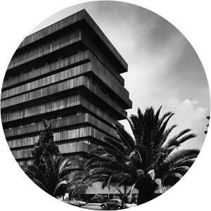 Guillermo Zamora - Artist