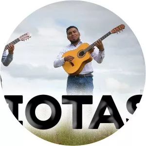 Guitarras de la Sierra - Musical artist