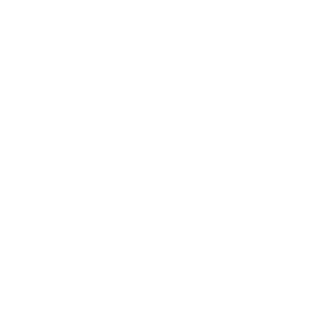 Gujarat Industries Power - Company
