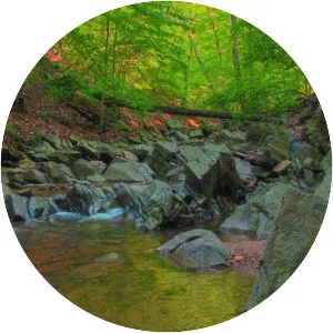 Gulf Branch - Stream in the United States of America