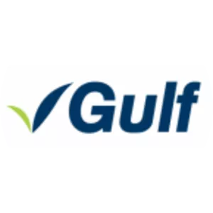 Gulf Energy Dev - Other electric power generation company
