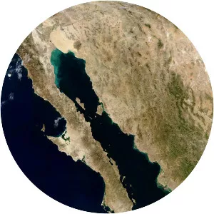Gulf of California - 