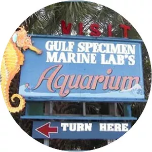 Gulf Specimen Marine Laboratory