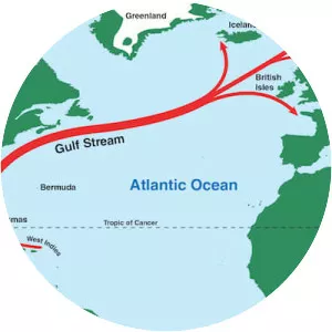 Gulf Stream - 