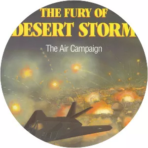 Gulf War air campaign - 