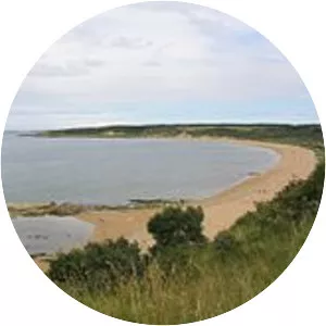 Gullane