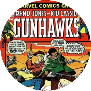 Gunhawks